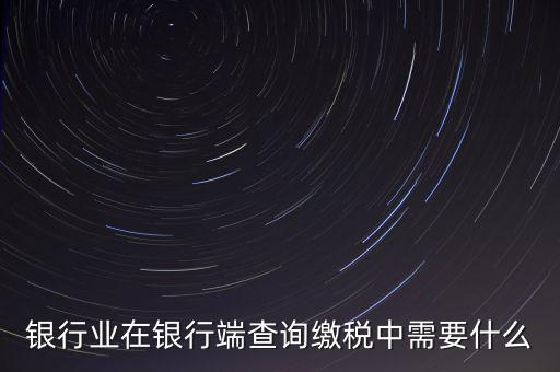 銀行端查詢(xún)繳稅要帶些什么，銀行業(yè)在銀行端查詢(xún)繳稅中需要什么