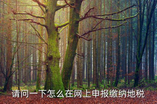 地稅個稅網(wǎng)址是什么，如何查詢個人所得稅明細