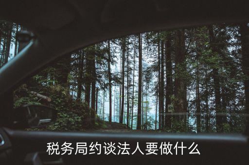 稅務(wù)異常約談法定代表干什么，稅務(wù)局約談法人要做什么