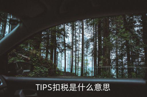 稅務(wù)tips是什么意思，tips扣稅是什么意思