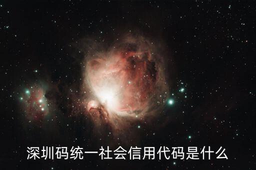 統(tǒng)一社會信用代碼是指什么不同，深圳碼統(tǒng)一社會信用代碼是什么
