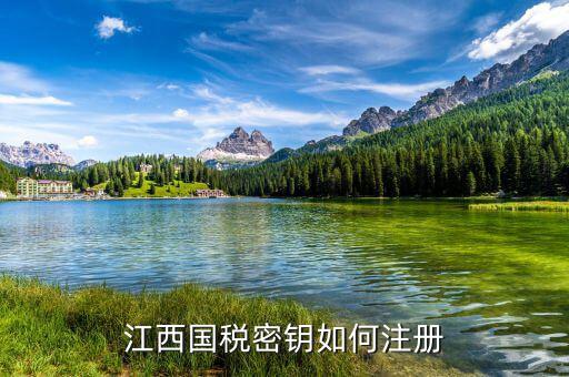 江西國(guó)稅密鑰是什么意思，為啥江西國(guó)稅的CA密鑰總是裝不成功