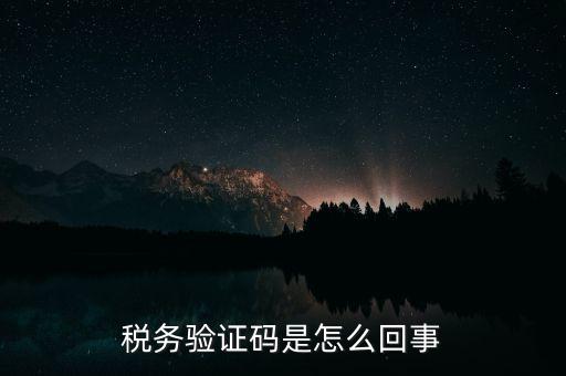 網(wǎng)上稅務(wù)局下載碼是什么意思，湖北省電子稅務(wù)局下載uk驅(qū)動二維碼是什么意思