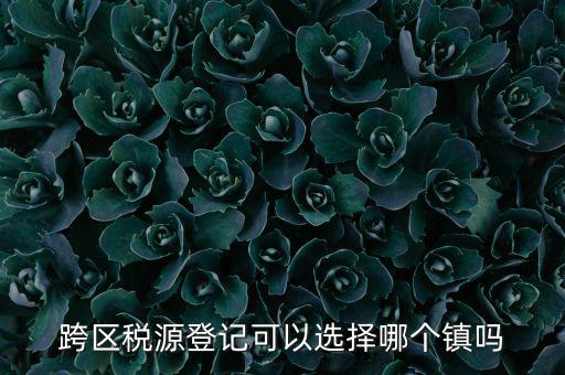 跨區(qū)稅源登記是什么，跨區(qū)稅源登記能否登記為一般納稅人