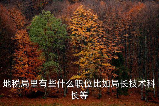 地稅局有什么委員，地級市稅務(wù)局辦公室副主任屬什么級別的官員