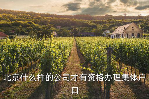 什么事北京千戶集團企業(yè)，千氏北京房地產(chǎn)經(jīng)紀(jì)有限公司