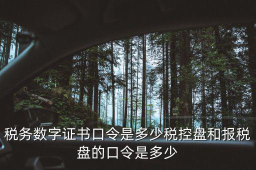 國稅證書口令是什么，我想問下國家稅務網(wǎng)上申報點擊安全登錄時出現(xiàn)的用戶口令是什么