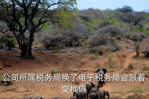 電子稅務(wù)局是什么時(shí)候變更的，公司所屬稅務(wù)局換了電子稅務(wù)局會(huì)跟著變換嗎