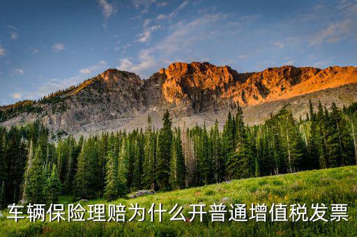 車輛保險(xiǎn)理賠為什么開(kāi)普通增值稅發(fā)票