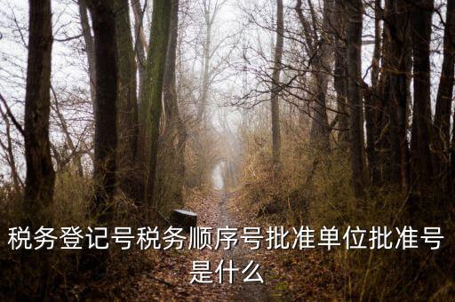 稅務(wù)順序號是什么，稅務(wù)順序號是什么意思