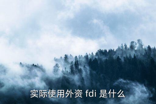 fdi是什么認證，F(xiàn)DI指什么