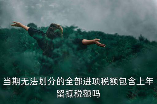 當(dāng)期無法劃分的全部進(jìn)項稅額包含上年留抵稅額嗎