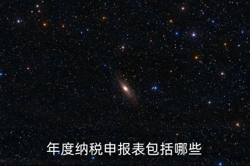 什么是年度納稅申報表，年度納稅申報表包括哪些