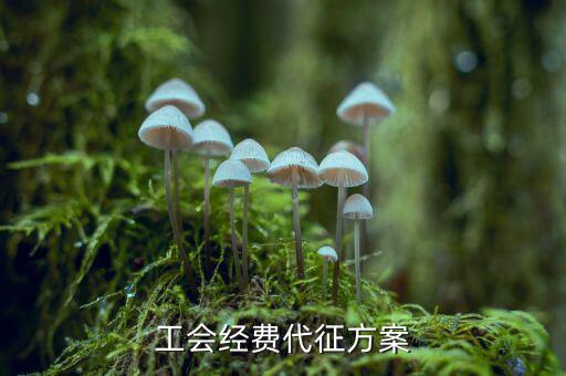 工會(huì)經(jīng)費(fèi)為什么委托稅務(wù)機(jī)關(guān)代征，工會(huì)經(jīng)費(fèi)交地稅局是怎么回事