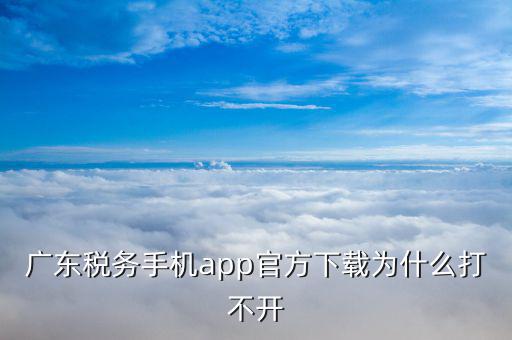 廣東省國(guó)稅為什么進(jìn)不去，廣東稅務(wù)登陸進(jìn)去一直顯示數(shù)據(jù)有誤請(qǐng)稍候重試是什么原因