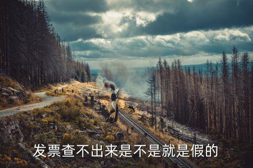 什么發(fā)票查不到真假，增值稅的發(fā)票真?zhèn)尾椴坏皆趺崔k