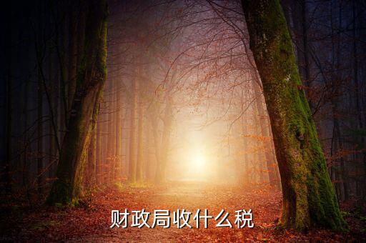 財(cái)政局征收什么稅，現(xiàn)行由財(cái)政機(jī)關(guān)征收的稅收有哪些拜托各位大神