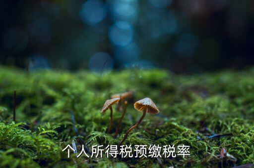 什么是個(gè)人所得稅預(yù)征率，個(gè)人所得稅預(yù)扣預(yù)繳是什么意思
