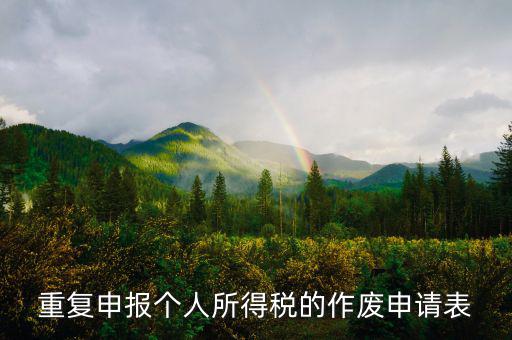 申報表作廢申請單 要帶什么，國稅報表作廢帶什么