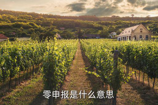 免于零申報什么意思，免于零申報是什么意思