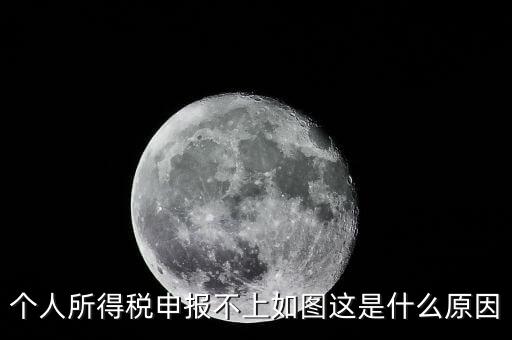個人所得稅申報(bào)不上如圖這是什么原因