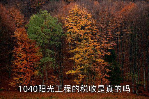 什么是陽(yáng)光稅務(wù)，1040陽(yáng)光工程的稅收是真的嗎