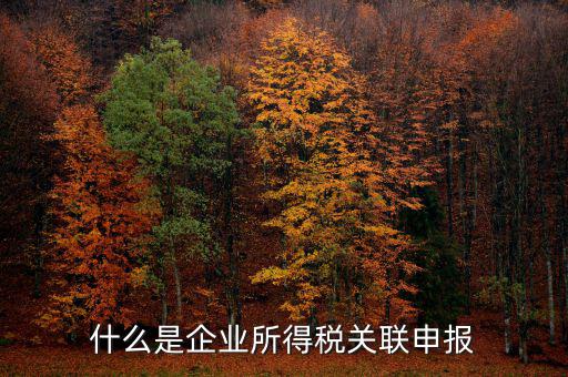 稅務(wù)關(guān)聯(lián)表是什么意思，所得稅中關(guān)聯(lián)關(guān)系是什么意思