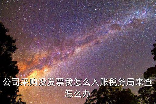 采購(gòu)時(shí)沒有發(fā)票為什么不能入賬，公司采購(gòu)沒發(fā)票我怎么入賬稅務(wù)局來查怎么辦