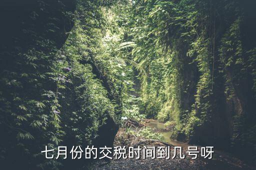 福建地稅7月報(bào)稅到什么時(shí)候，請(qǐng)問7月份國稅地稅的征期截止到哪天