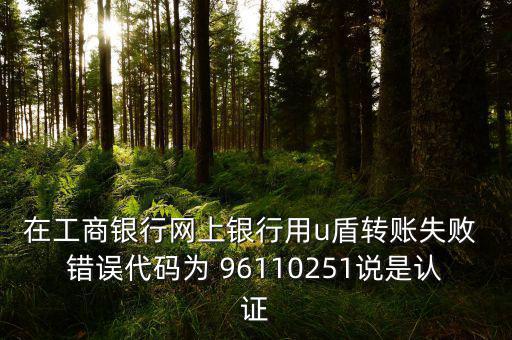 在工商銀行網上銀行用u盾轉賬失敗 錯誤代碼為 96110251說是認證