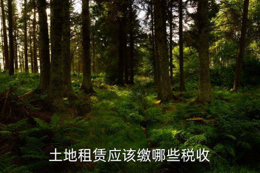 租賃政府土地交什么稅，土地使用權(quán)租賃要交哪些稅