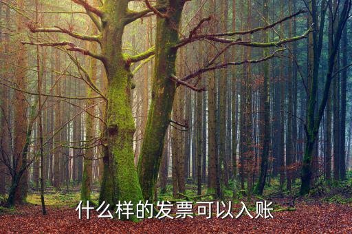 都什么發(fā)票可以走賬，什么樣的發(fā)票才可以走帳