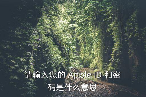 查詢個(gè)稅 密碼是輸入什么，請(qǐng)輸入您的 Apple ID 和密碼是什么意思