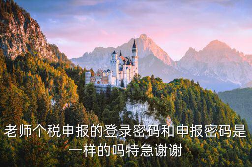安徽個稅申報密碼是什么，老師個稅申報的登錄密碼和申報密碼是一樣的嗎特急謝謝