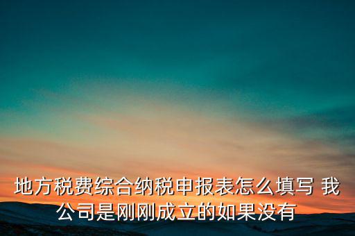 地稅不開票需填什么表，地方稅費綜合納稅申報表怎么填寫 我公司是剛剛成立的如果沒有