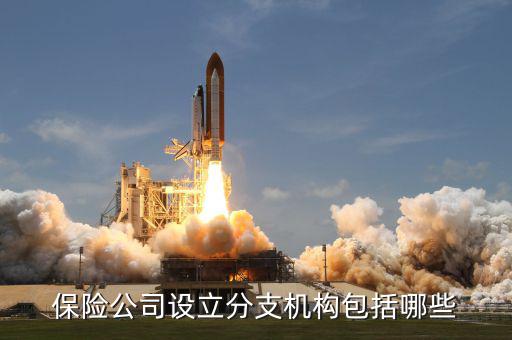 什么是分支機(jī)構(gòu)類型，公司的分支機(jī)構(gòu)是什么它和分公司子公司有什么區(qū)別