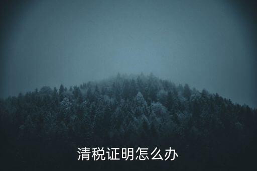 稅務(wù)無紙化辦公要什么材料，清稅證明怎么辦