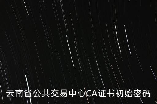 ca證書的原始密碼是什么意思，云南省公共交易中心CA證書初始密碼
