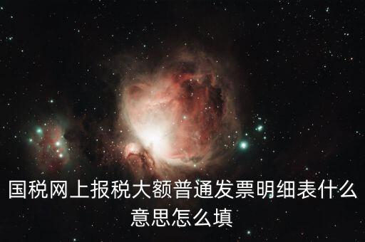 發(fā)票里的明細(xì)是什么意思，國(guó)稅網(wǎng)上報(bào)稅大額普通發(fā)票明細(xì)表什么意思怎么填
