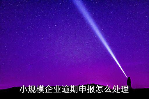 小規(guī)模納稅人如果沒有按時(shí)申報(bào)有什么后果，小規(guī)模不報(bào)稅什么后果
