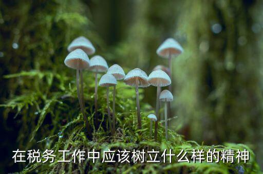 在稅務工作中應該樹立什么樣的精神