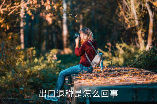 出口退稅查什么，出口退稅的條件