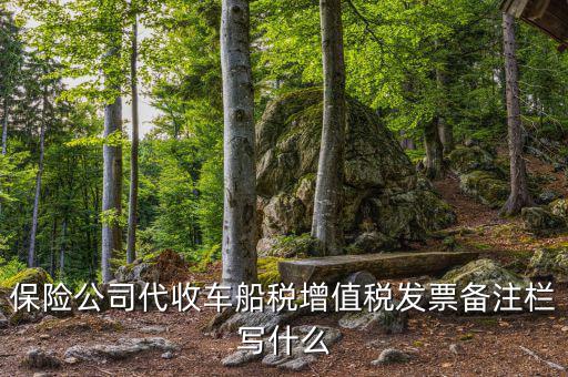 保險(xiǎn)公司代開車船稅備注注什么，請(qǐng)問(wèn)一下發(fā)票備注欄能夠?qū)懯裁?/></a></span><span id=