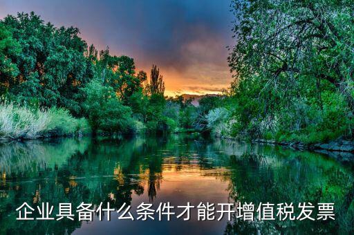 什么企業(yè)增值稅發(fā)票，企業(yè)具備什么條件才能開增值稅發(fā)票