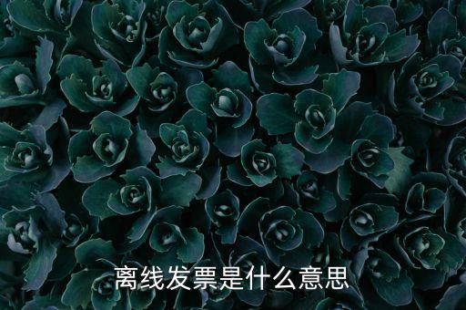 離線開票什么意思，離線發(fā)票是什么意思