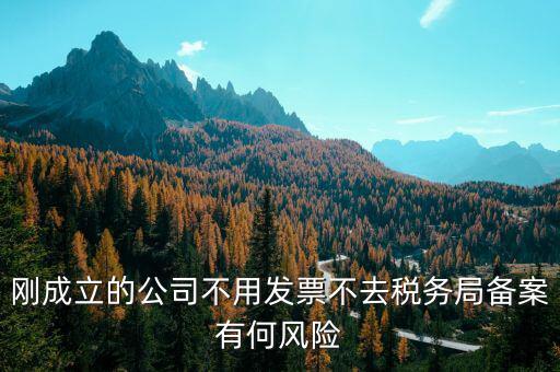 稅收備案制有什么風(fēng)險(xiǎn)，稅收政策變化導(dǎo)致中小企業(yè)的風(fēng)險(xiǎn)有哪些