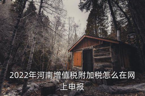 附加稅在什么網(wǎng)站申報，2022年河南增值稅附加稅怎么在網(wǎng)上申報