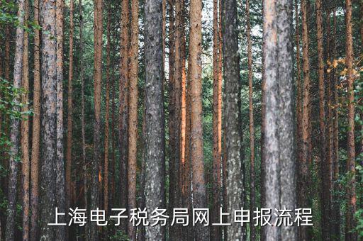 上海稅務網(wǎng)上直報是什么，什么是網(wǎng)上報稅