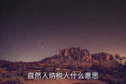 什么是自然人辦稅，自然人納稅人什么意思