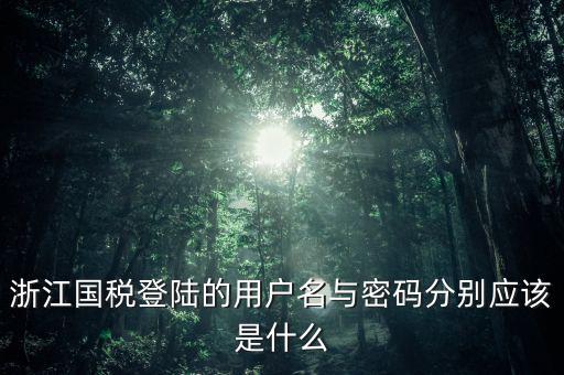 浙江國稅密碼是什么意思，浙江地稅開票軟件中數(shù)據(jù)庫密碼是多少